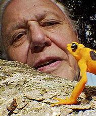 David Attenborough