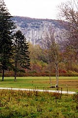 Whiteside Mountain, Highlands NC