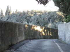 Florentine Roads with Walls